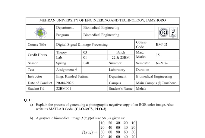 write professional assignments and reports for students
